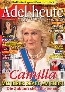 1291-adel-heute