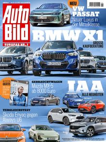 486-auto-bild